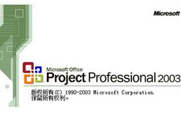 Microsoft Project 2003 